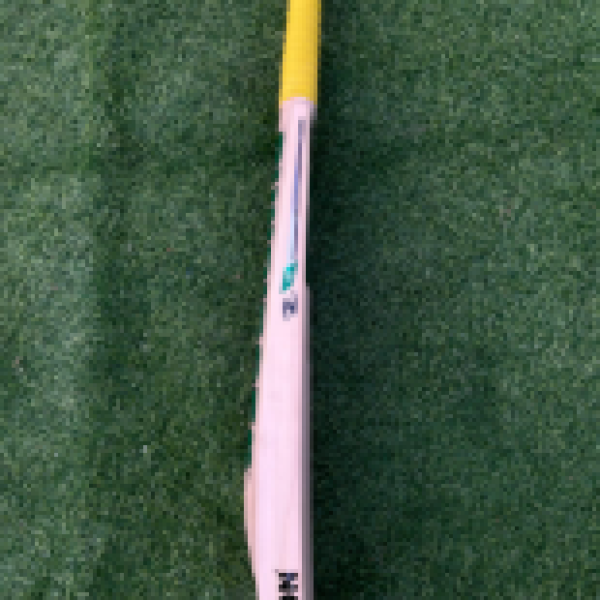 SS season bat