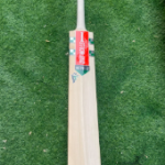 Season bat granicoles