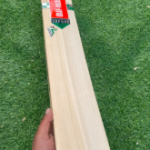 Season bat granicoles