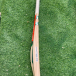 Season bat granicoles