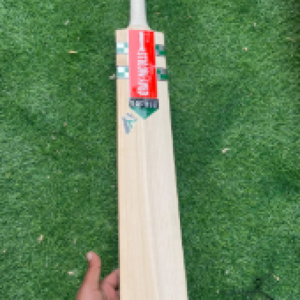 Season bat granicoles